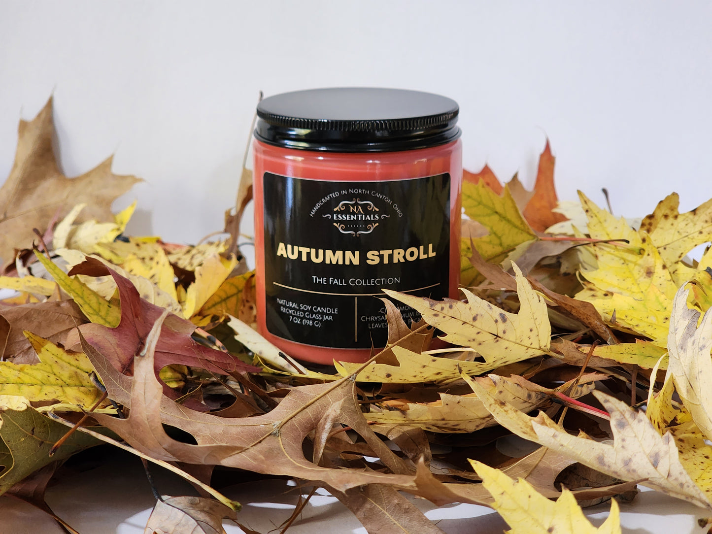 Autumn Stroll